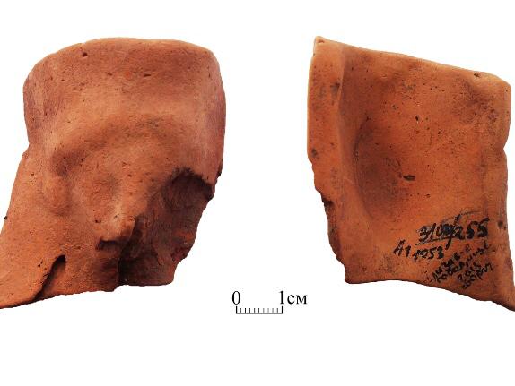 Фрагмент протомы. Елизаветовское городище, сборы 2015 г. (из фондов АМЗ) Фрагмент протомы. Елизаветовское городище, сборы 2015 г. (из фондов АМЗ)