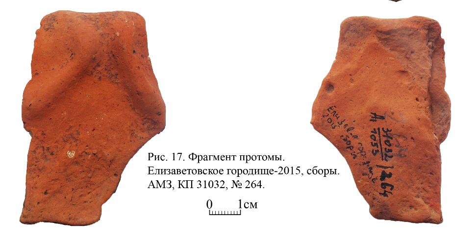 Фрагмент протомы. Елизаветовское городище, сборы 2015 г. (из фондов АМЗ) Фрагмент протомы. Елизаветовское городище, сборы 2015 г. (из фондов АМЗ)