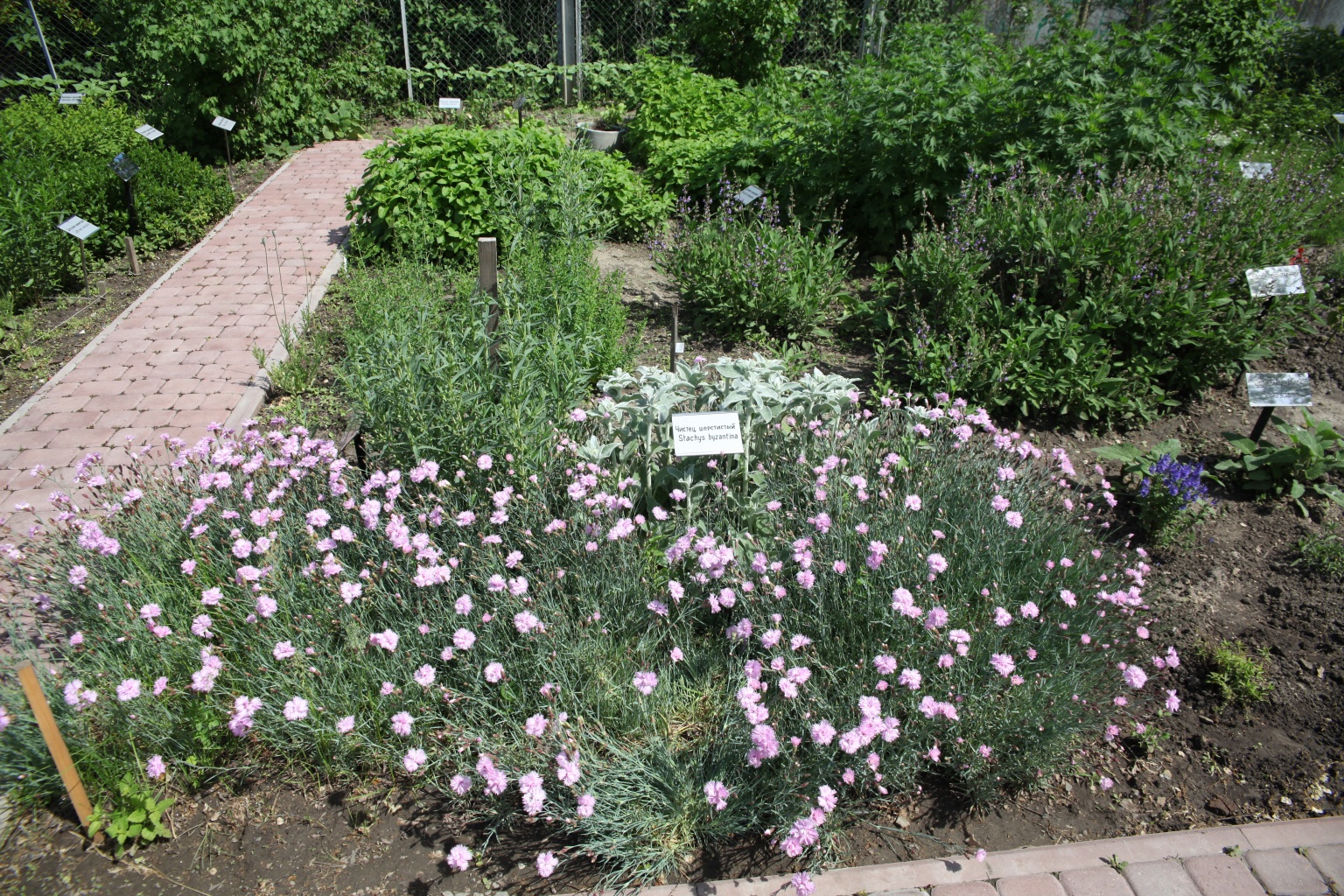 Троица. История чудесных трав. Троица. История чудесных трав.