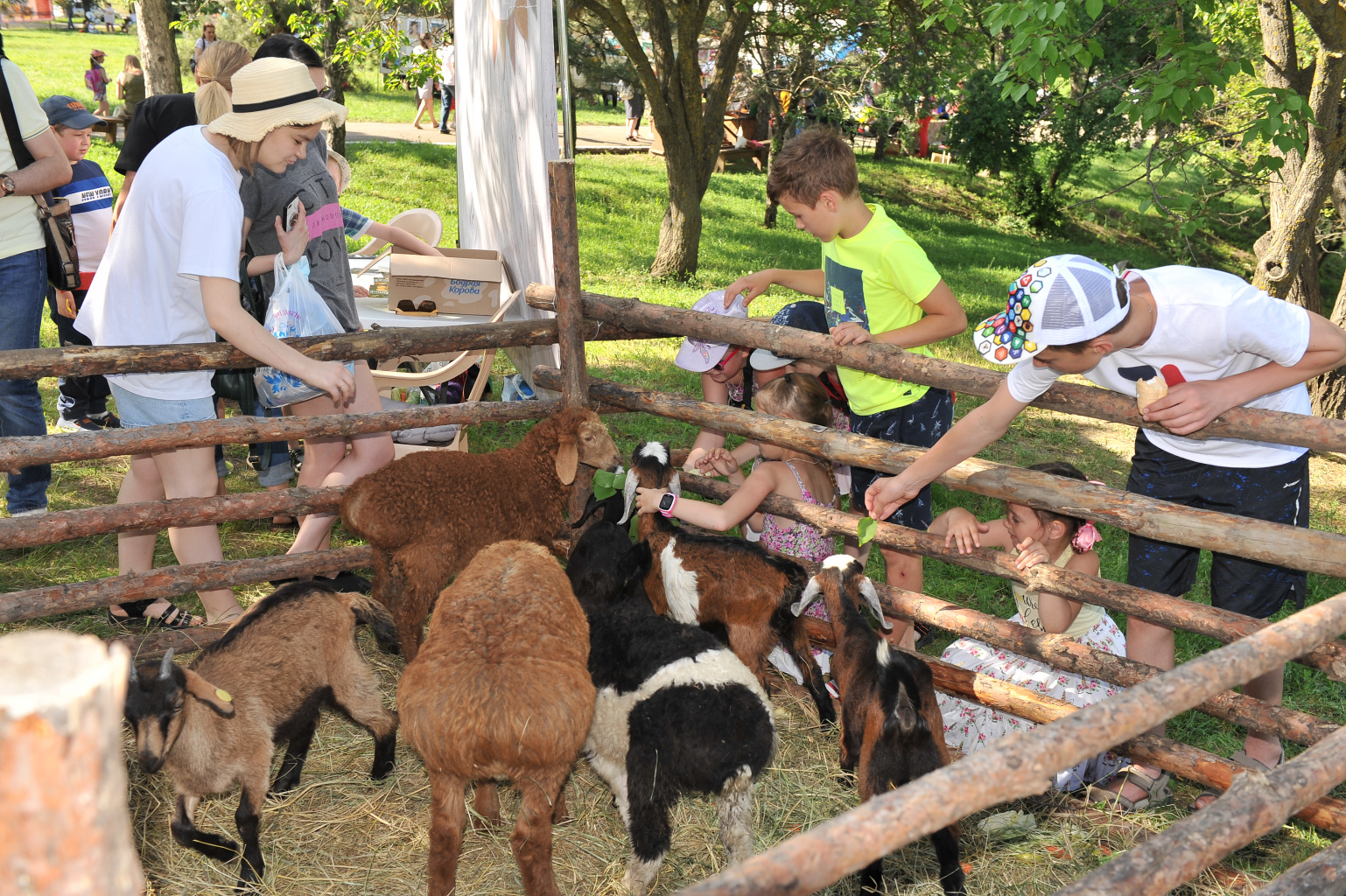 III этнокультурный праздник «Загадки древнего Паниардиса» III этнокультурный праздник «Загадки древнего Паниардиса»