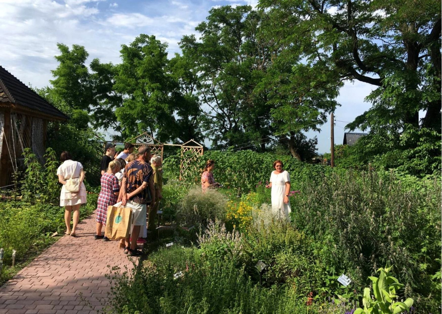 Огород на голландский вкус Огород на голландский вкус