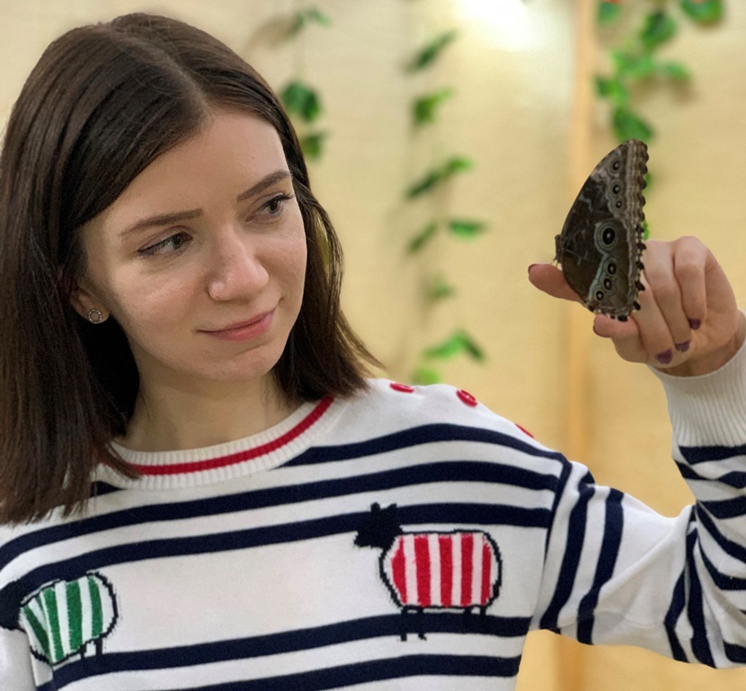 Выставка живых тропических бабочек Выставка живых тропических бабочек